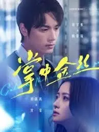 《掌中金丝》：长姐她竟是隐藏大佬？霸道总裁遇上腹黑女主，这剧情绝了！