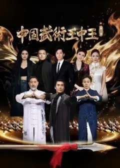 《中国武术王中王第二季》：打到你服气！这届选手比上季还野，连校园霸凌都敢拍？